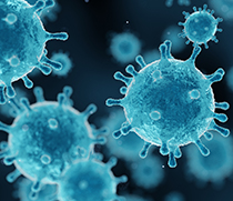 Virus